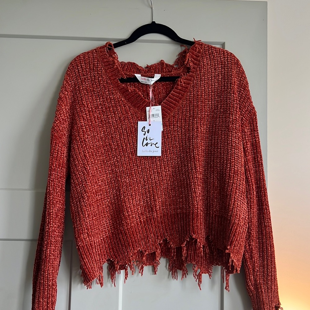 Rust Distressed Crop Sweater